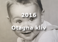 Otagna kliv